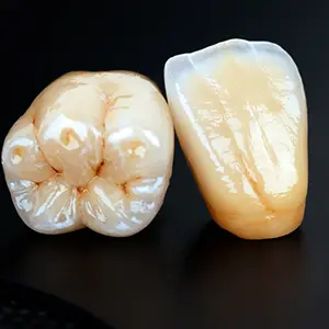 天然歯に近い歯科技工物